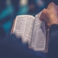 Using Word Online Together in Whitchurch